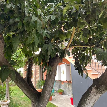 Un Sogno Nel Verde 阿其利亚 外观 照片